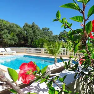 https://panoramic-paradise.hotelaalgarve.com